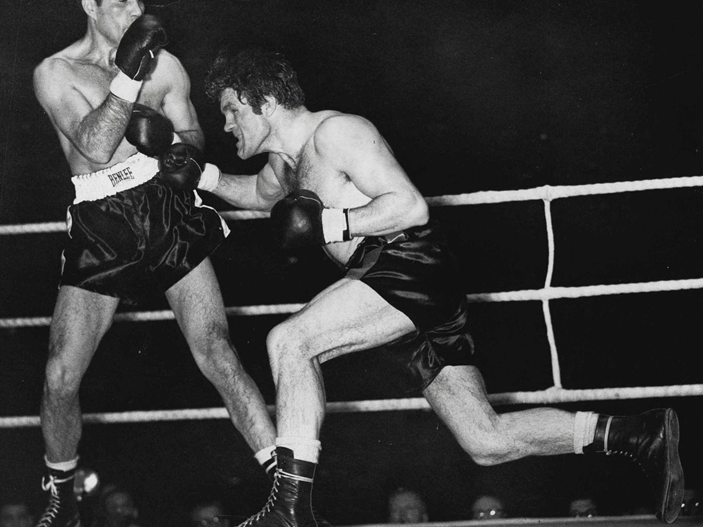 FEARLESS FREDDIE