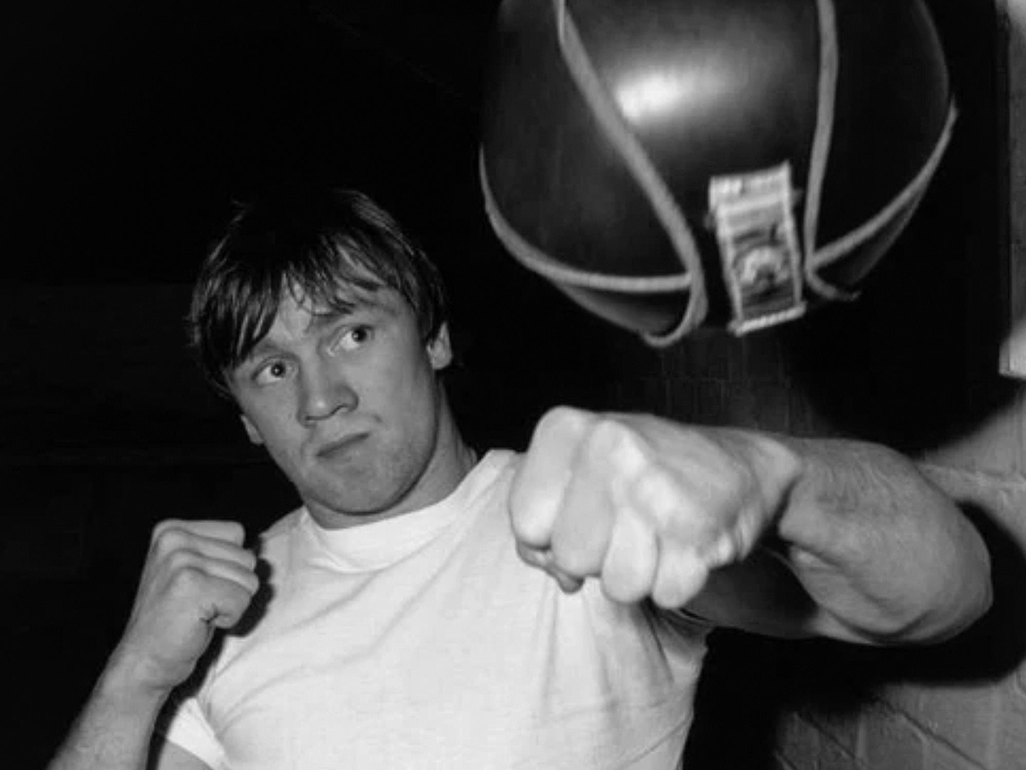SIBBO – LEICESTER’S LIONHEART