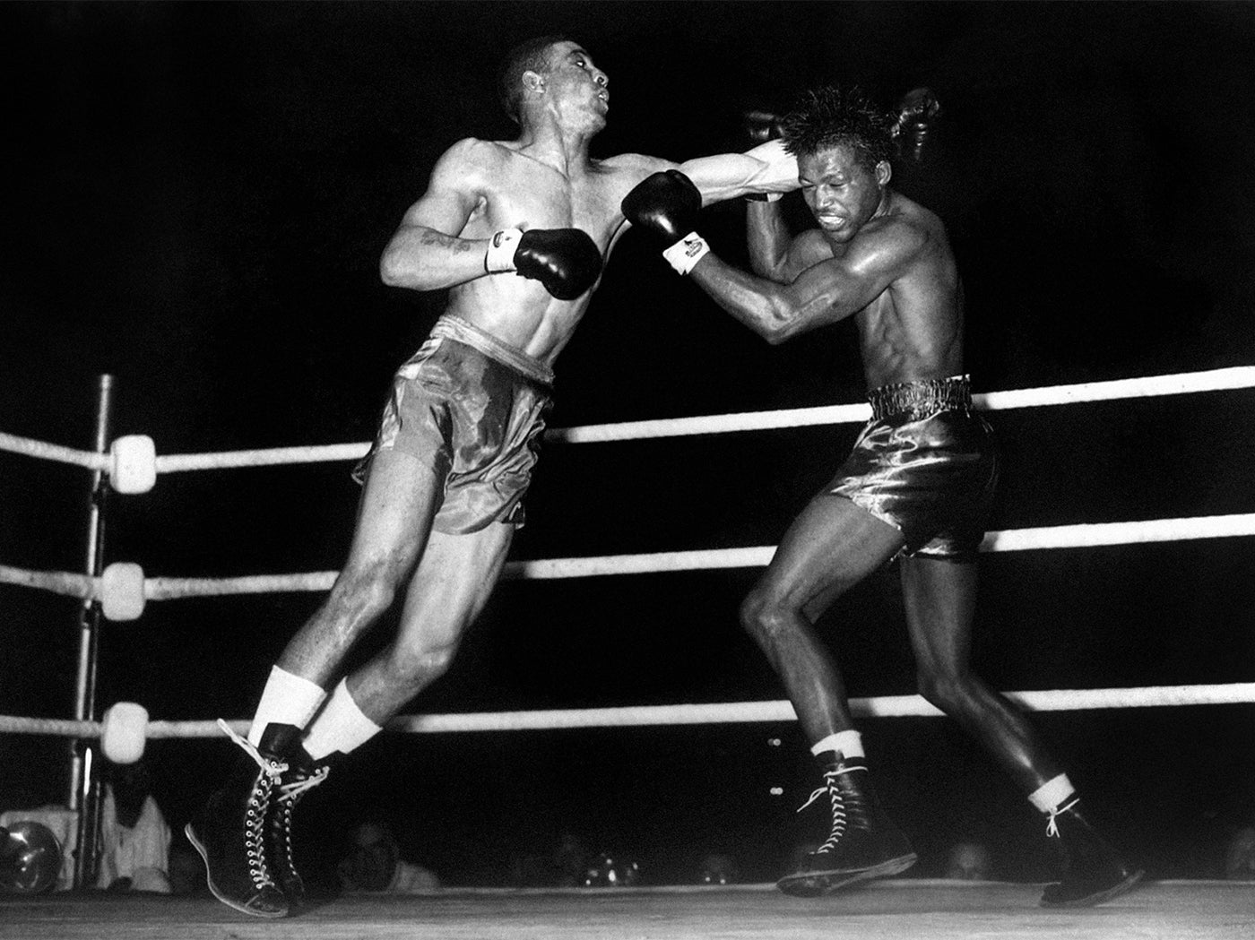 THE LEAMINGTON LICKER